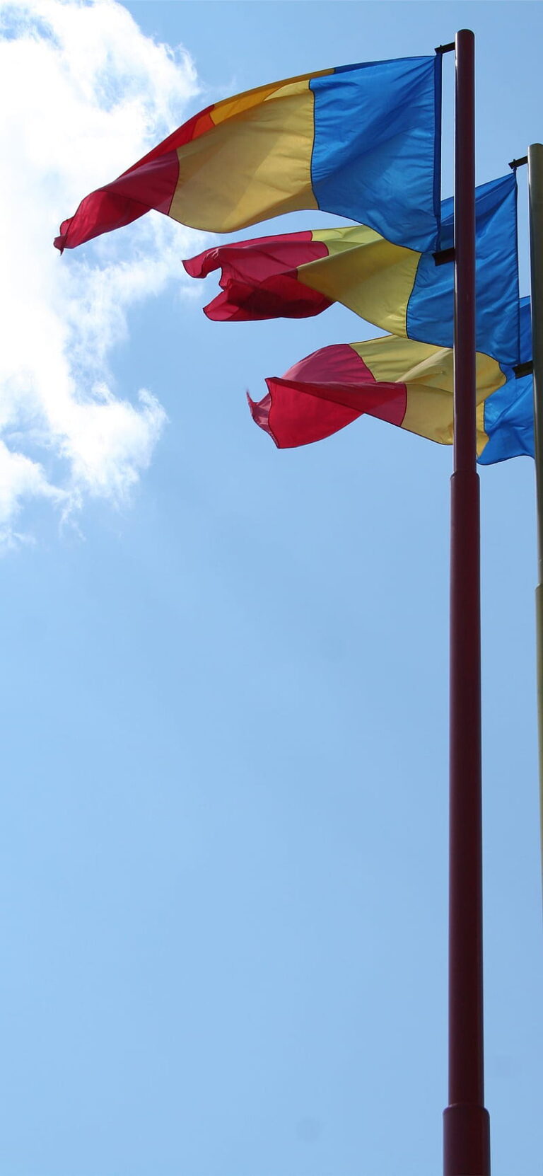 Romanian flags